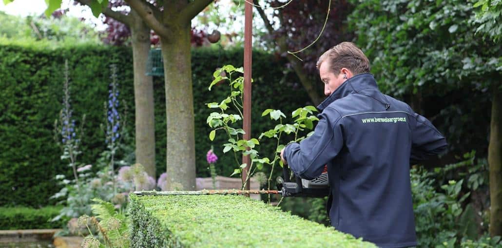Bedrijfstuin onderhoud Bedrijfstuin onderhoud