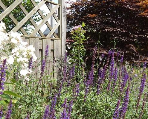 Beplanting Rosmalen Beplanting Rosmalen