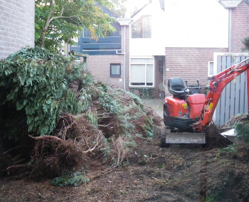 Boom rooien