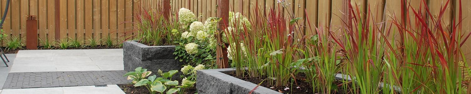 Onderhoud en tuinwerkzaamheden augustus