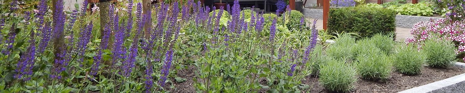Onderhoud en tuinwerkzaamheden in juli