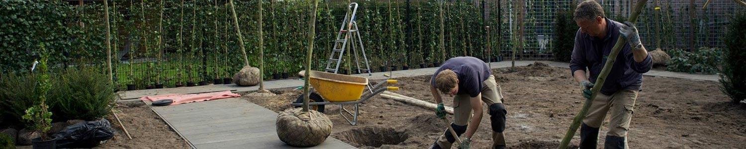 Planten en verplanten in december