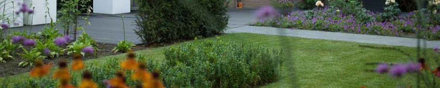 Planten en zaaien in augustus