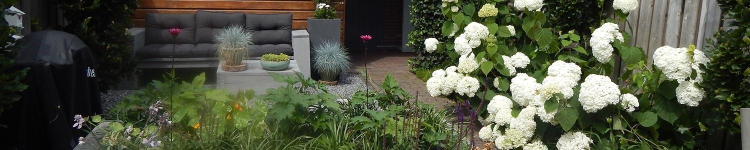 Planten en zaaien in september