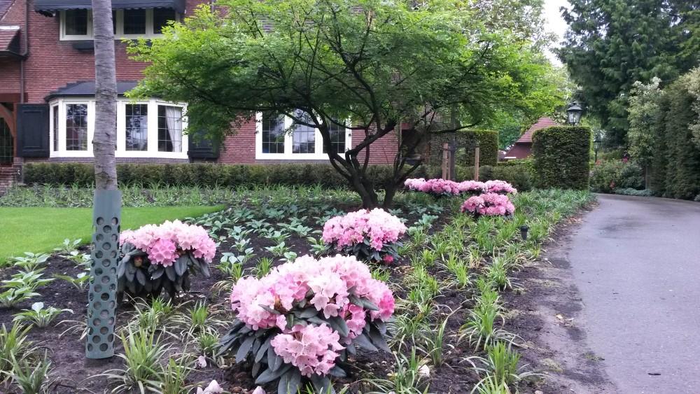 Beplanting tuinaanleg Beplanting tuinaanleg