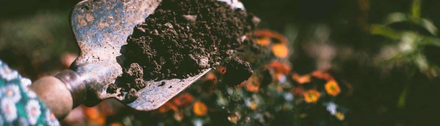 Voorjaar tuinonderhoud Voorjaar tuinonderhoud