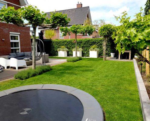 Tuinrenovatie achtertuin Rosmalen Tuinrenovatie achtertuin Rosmalen