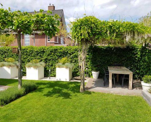 Tuinrenovatie Rosmalen - Groote Wielen Tuinrenovatie Rosmalen - Groote Wielen