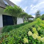 Modern landelijke villatuin in Eindhoven