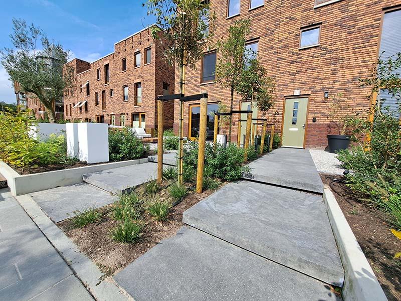 moderne-bestrating-voortuin-nieuwbouwtuin-engelen-den-bosch Beukenhaag voor privacy in voortuin Engelen regio Den Bosch