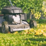 Gazononderhoud in het voorjaar