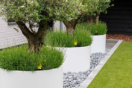 bloempotten-hovenier-rosmalen-bersselaar-groen Bloempot modern, Adezz