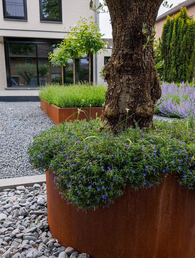 Tuinaanleg voortuin door Bersselaar Groen uit Rosmalen