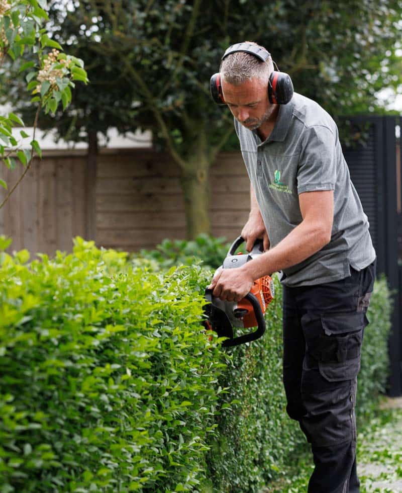 Hoveniersbedrijf Bersselaar Groen uit Rosmalen