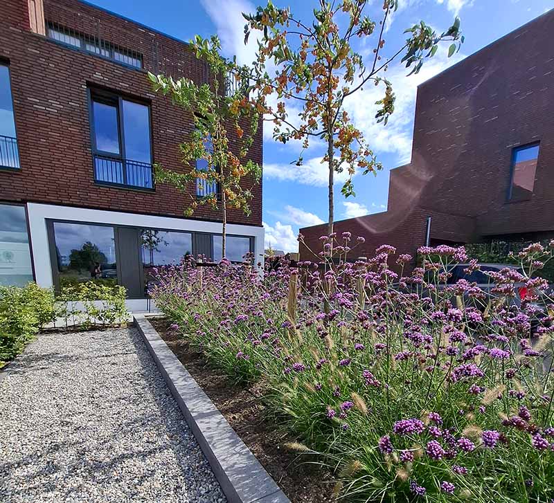 Schellevis stapelblokken border met verbena en sierappelbomen die met Inlight tuinverlichting worden belicht. Aangelegd door Bersselaar Groen uit Rosmalen.
