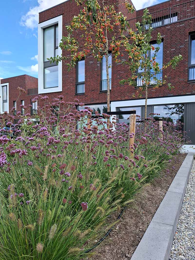voortuin-beregeningsysteen-rainbird-bersselaar-groen-rosmalen