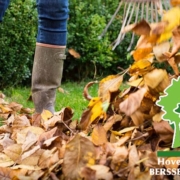Blad ruimen en gazonverzorging: zo houd je je tuin gezond in het najaar