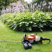 Bomen en heesters snoeien in het najaar: wat wel en niet te doen