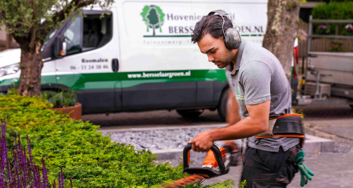 Voorjaarsplanten snoeien Voorjaarsplanten snoeien