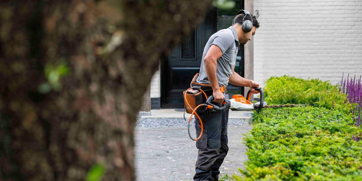 Voorjaarsplanten snoeien Voorjaarsplanten snoeien