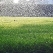 Bersselaar geeft tips voor het watermanagement in jouw tuin