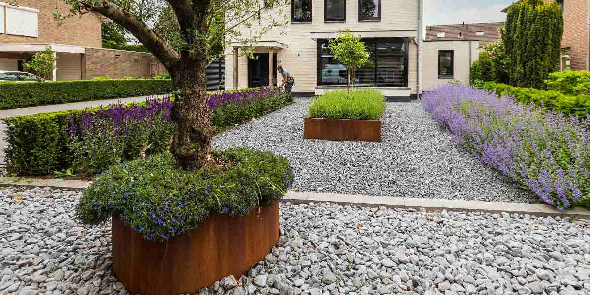 Voorjaarsplanten snoeien Voorjaarsplanten snoeien