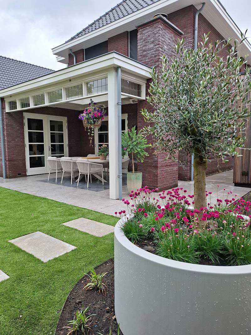 beplanting-bloempot-moderne-achtertuin Ronde plantenbak met olijfboom en vaste planten naast het kunstgras
