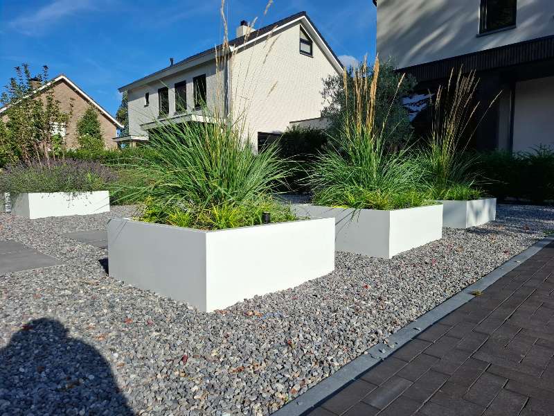 siergrassen-potten-beplanting-voortuin Witte aluminium plantenbakken met siergras naast de carport in moderne voortuin