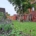 Nieuw aangelegde tuin in Rosmalen met een groen gazon, natuurlijke plantenborders, terras met grote tegels en houten tuinafscheiding.