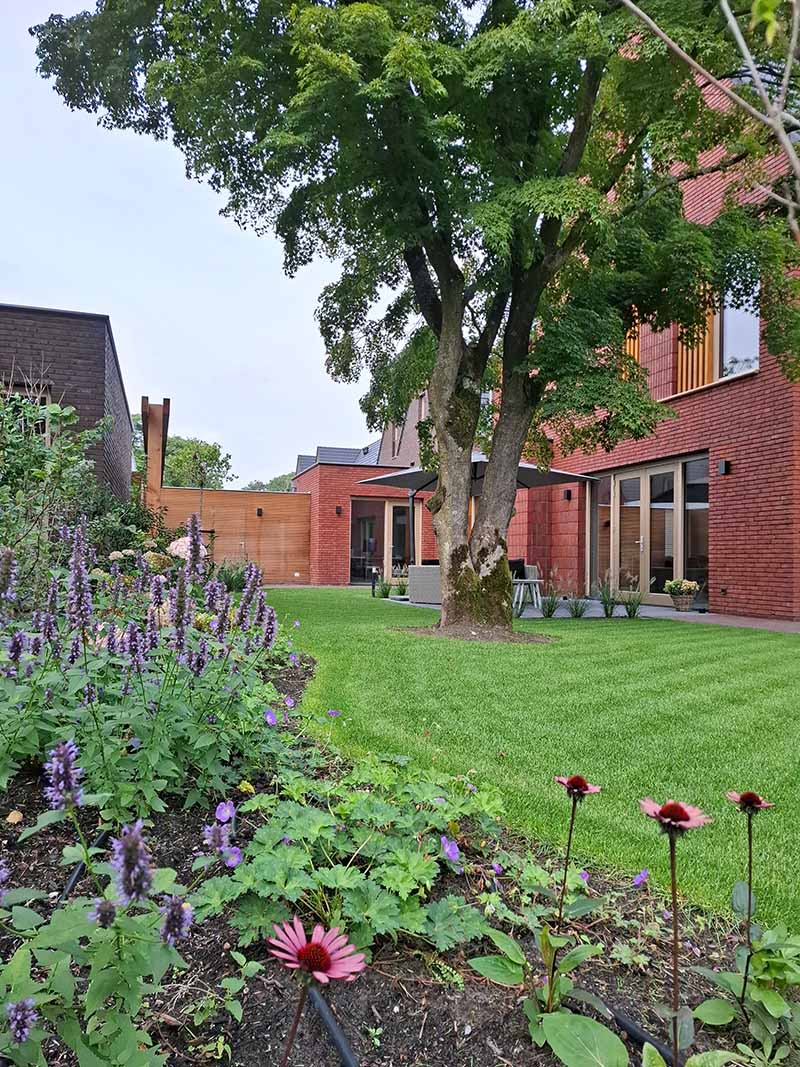 tuinaanleg-landgoed-coudewater-volwassen-boom Nieuw aangelegde tuin in Rosmalen met een groen gazon, natuurlijke plantenborders, terras met grote tegels en houten tuinafscheiding.
